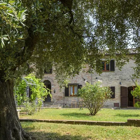 Ca Lucciola 12 By Marche *